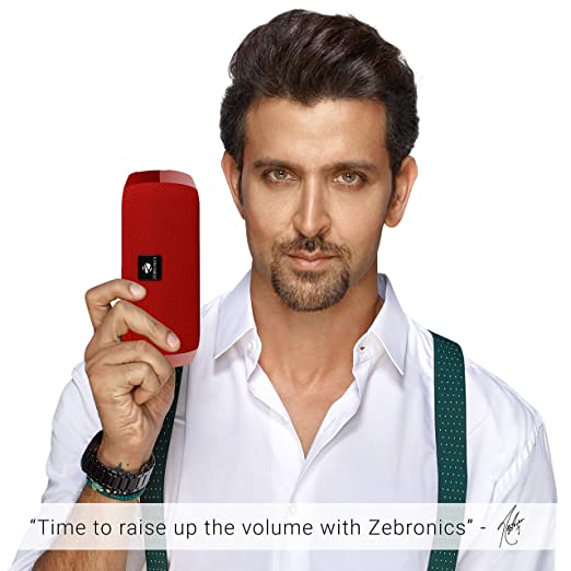 ZEBRONICS Zeb-Action Portable BT Speaker with TWS Function, USB,mSD, AUX, FM, Mic & Fabric Finish