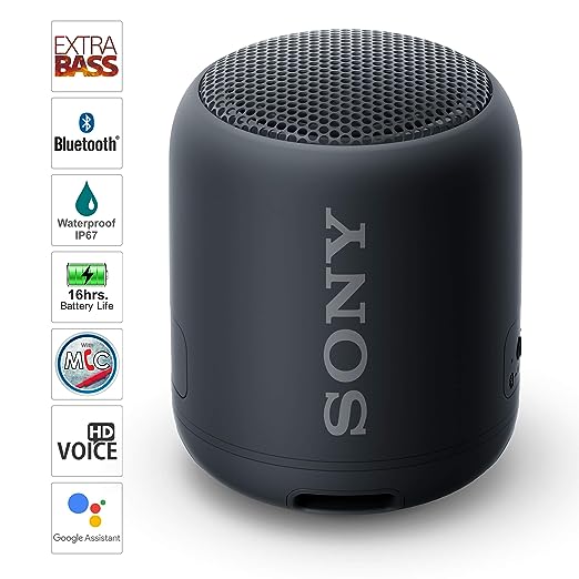 Sony SRS-XB12 10 Watt 1.0 Channel Wireless Bluetooth Speaker (Black)