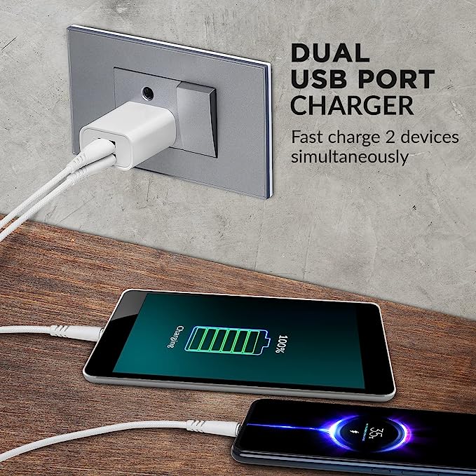 Elements by Lava - CH5 Charger, 12 W Fast Charging, Dual Port, Supports 2.4 A, Charger Holding Slot, Free Micro USB Cable 1 Meter Included - White