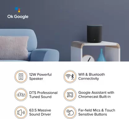 Mi Smart Speaker With Google Assistant  (Black)