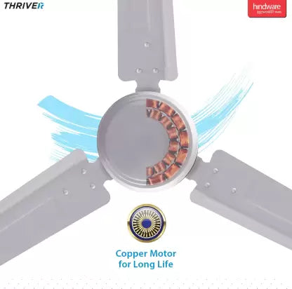 Hindware Thriver 1200 mm 3 Blade Ceiling Fan  (White, Pack of 1)